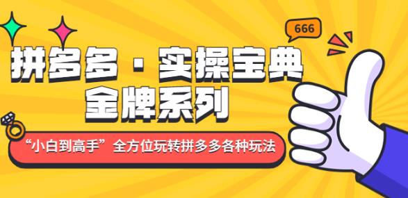 拼多多·实操宝典：金牌系列“小白到高手”带你全方位玩转拼多多各种玩法-pcp资源社