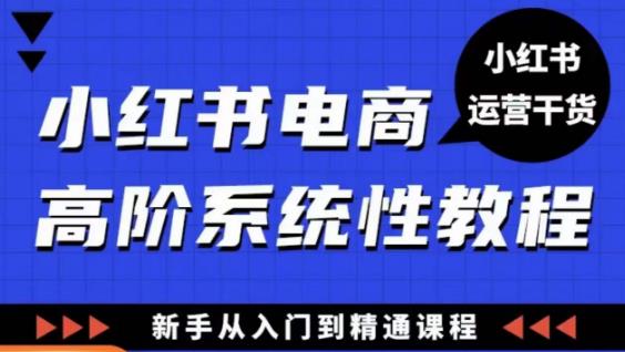 小红书电商高阶系统教程，新手从入门到精通系统课-pcp资源社