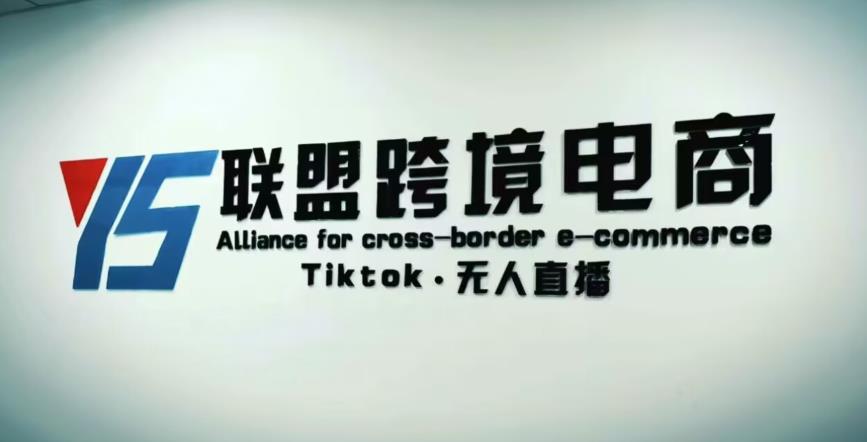 YS联盟·Tiktok无人直播，不出镜不剪辑不拍摄不发货无售后的跨境短视频躺赚玩法-pcp资源社