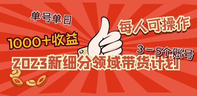 2023新细分领域带货计划：单号单日1000+收益不难，每人可操作3-5个账号-pcp资源社