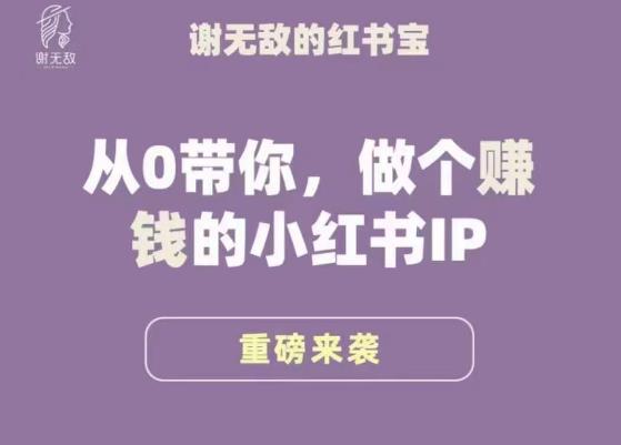 谢无敌·小红书运营大宝典，从0带你做个赚钱的小红书IP-pcp资源社