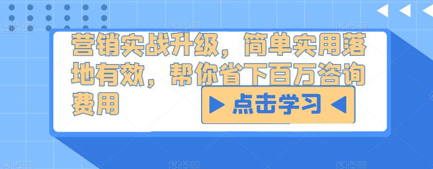 营销实战升级，简单实用落地有效，帮你省下百万咨询费用-pcp资源社