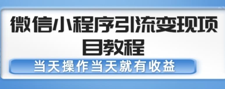 微信小程序引流变现项目教程，当天操作当天就有收益，变现不再是难事-pcp资源社