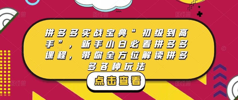 拼多多实战宝典“初级到高手”，新手小白必看拼多多课程，带你全方位解读拼多多各种玩法-pcp资源社