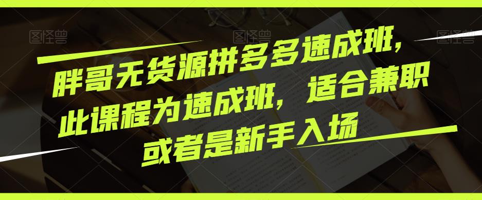 胖哥无货源拼多多速成班，此课程为速成班，适合兼职或者是新手入场-pcp资源社