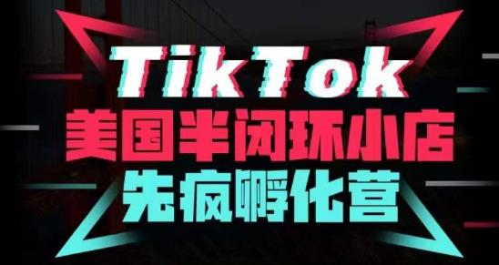 疯人院·TikTok美国半闭环小店孵化营，抢占TikTok美国蓝海市场，开店、运营、带货、投流全实操-pcp资源社