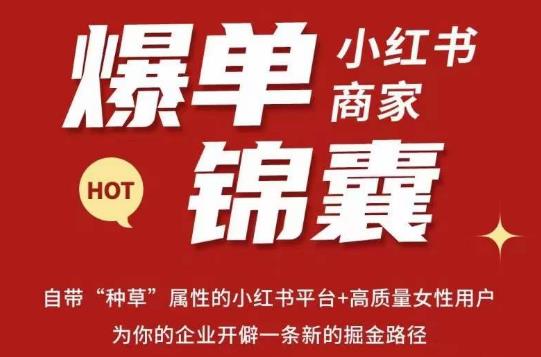 无畏·小红书商家爆单锦囊，掌握小红书各大规则，快速精准抢占行业和市场-pcp资源社