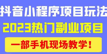 抖音小程序9.0新技巧，2023热门副业项目，动动手指轻松变现-pcp资源社