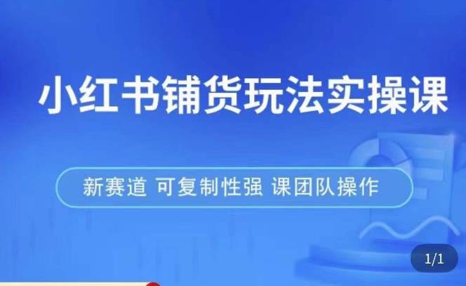 小红书铺货玩法实操课，流量大，竞争小，非常好做，新赛道，可复制性强，可团队操作-pcp资源社