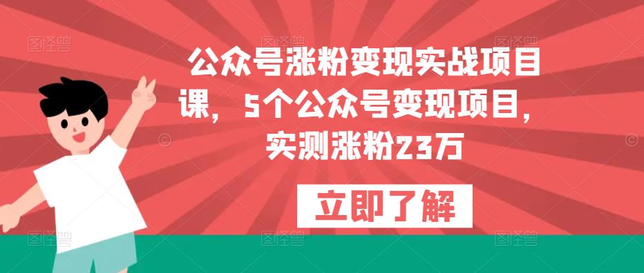 公众号涨粉变现实战项目课，5个公众号变现项目，实测涨粉23万-pcp资源社