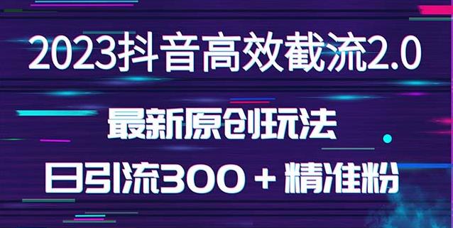 日引300＋创业粉，独家抖音高效截流2.0玩法（价值1280）-pcp资源社