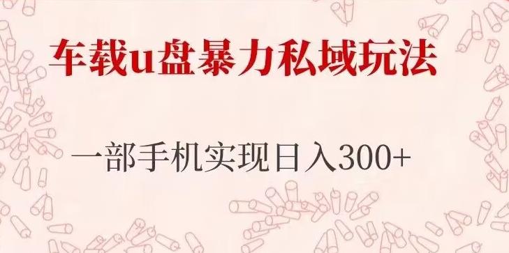 车载u盘暴力私域玩法，长期项目，仅需一部手机实现日入300+-pcp资源社