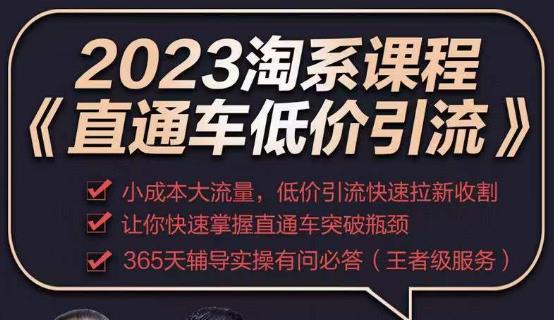 2023直通车低价引流玩法课程，小成本大流量，低价引流快速拉新收割，让你快速掌握直通车突破瓶颈-pcp资源社