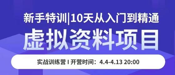 虚拟资料项目新手特训，10天从入门到精通，保姆级实操教学-pcp资源社