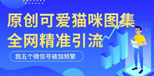 黑科技纯原创可爱猫咪图片，全网精准引流，实操5个VX号被加频繁-pcp资源社