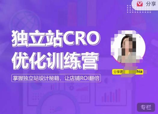 独立站CRO优化训练营，掌握独立站设计秘籍，打造高转化的独立站，让店铺ROI翻倍-pcp资源社