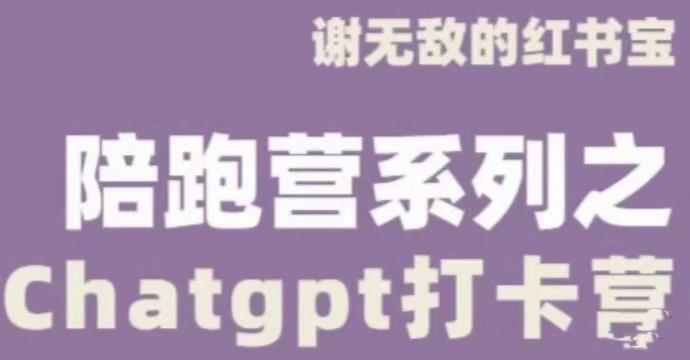 谢无敌ChatGPT打卡营，教你更好地使用ChatGPT来提高工作效率-pcp资源社