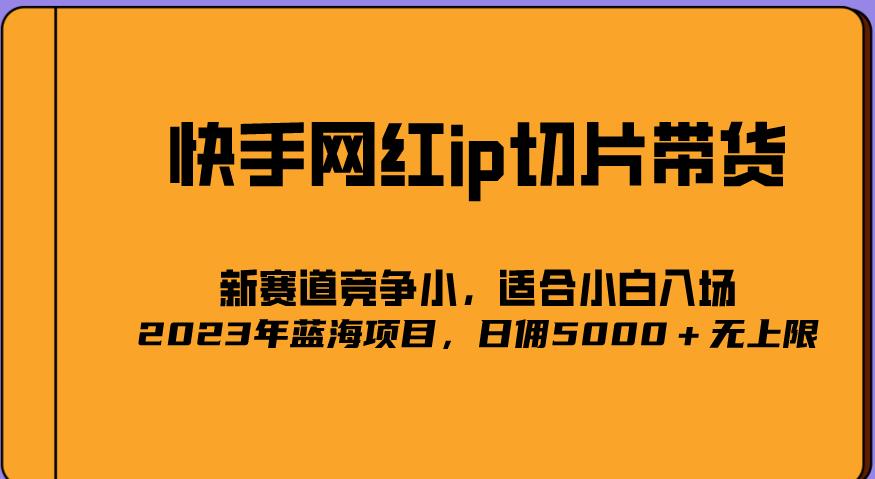 2023爆火的快手网红IP切片，号称日佣5000＋的蓝海项目，二驴的独家授权-pcp资源社