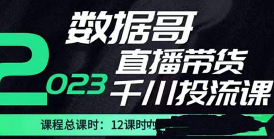 数据哥2023直播电商巨量千川付费投流实操课，快速掌握直播带货运营投放策略-pcp资源社