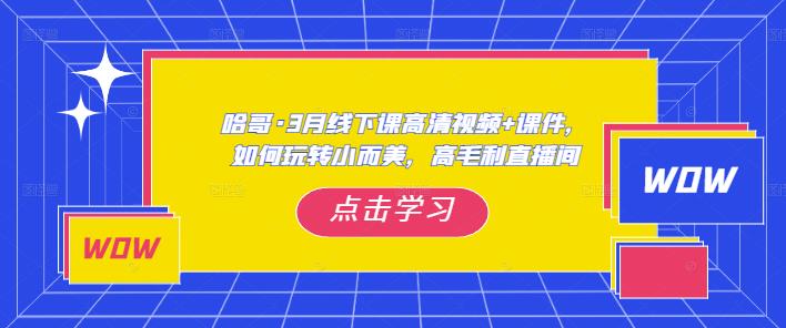 哈哥·3月线下实操课高清视频+课件，如何玩转小而美，高毛利直播间-pcp资源社