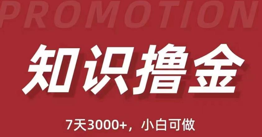 抖音知识撸金项目：简单粗暴日入1000+执行力强当天见收益(教程+资料)-pcp资源社