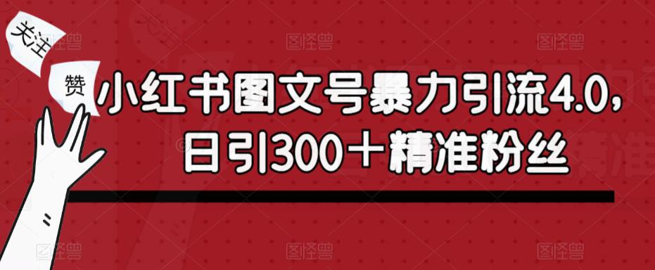 小红书图文号暴力引流4.0，日引300＋精准粉丝【揭秘】-pcp资源社