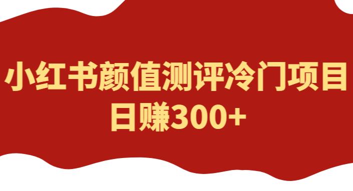 外面1980的项目，小红书颜值测评冷门项目，日赚300+【揭秘】-pcp资源社