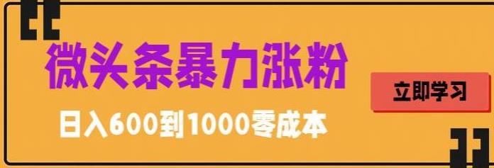 微头条暴力涨粉技巧搬运文案就能涨几万粉丝，简单0成本，日赚600【揭秘】-pcp资源社