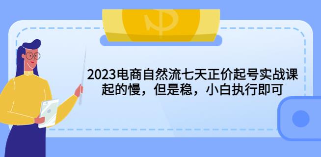 2023电商自然流七天正价起号实战课：起的慢，但是稳，小白执行即可！-pcp资源社