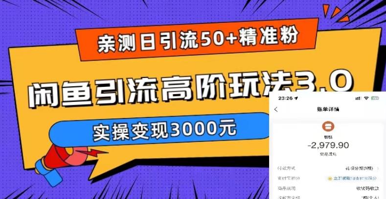 亲测日引50+精准粉，闲鱼引流高阶玩法3.0，实操变现3000元【揭秘】-pcp资源社