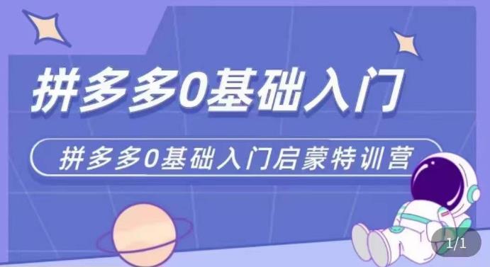 拼多多运营0-1实操特训营，拼多多0基础入门，从基础到进阶的可实操玩法-pcp资源社