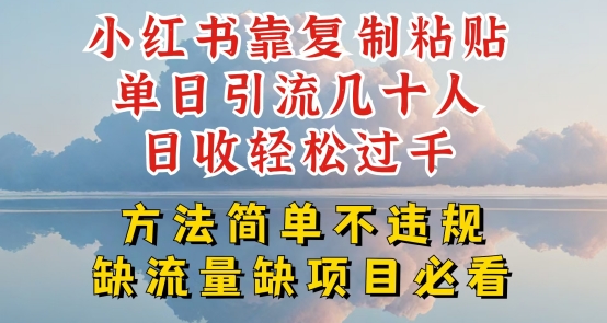 小红书靠复制粘贴单日引流几十人目收轻松过千，方法简单不违规【揭秘】-pcp资源社