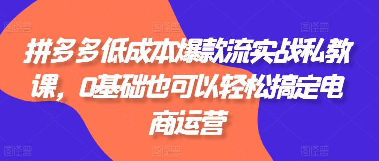 拼多多低成本爆款流实战私教课，0基础也可以轻松搞定电商运营-pcp资源社