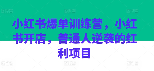 小红书爆单训练营，小红书开店，普通人逆袭的红利项目-pcp资源社