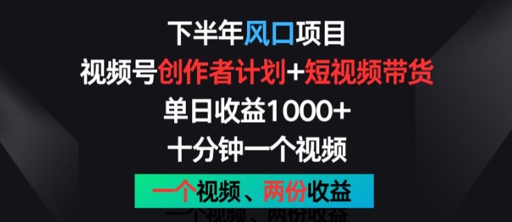 下半年风口项目，视频号创作者计划+视频带货，一个视频两份收益，十分钟一个视频【揭秘】-pcp资源社