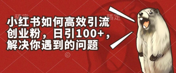 小红书如何高效引流创业粉，日引100+，解决你遇到的问题【揭秘】-pcp资源社