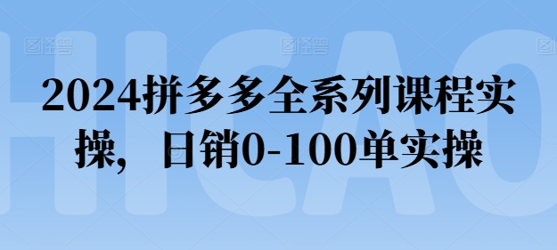 2024拼多多全系列课程实操，日销0-100单实操【必看】-pcp资源社