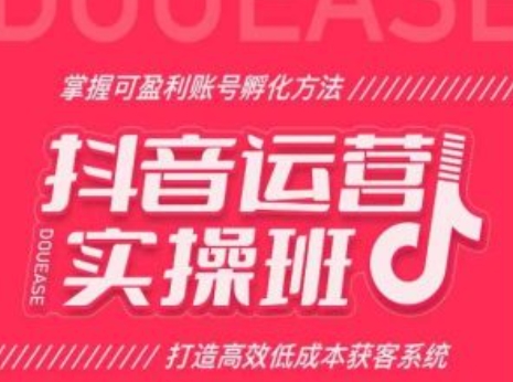 抖音运营实操班，掌握可盈利账号孵化方法，打造高效低成本获客系统-pcp资源社