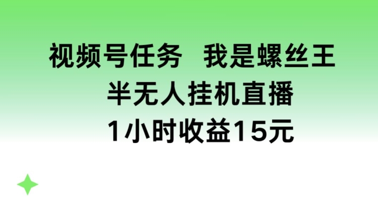 视频号任务，我是螺丝王， 半无人挂机1小时收益15元【揭秘】-pcp资源社