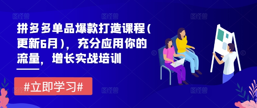 拼多多单品爆款打造课程(更新6月)，充分应用你的流量，增长实战培训-pcp资源社