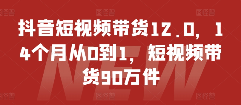 抖音短视频带货12.0，14个月从0到1，短视频带货90万件-pcp资源社