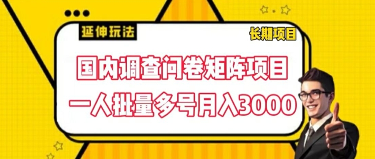 国内调查问卷矩阵项目，一人批量多号月入3000【揭秘】-pcp资源社