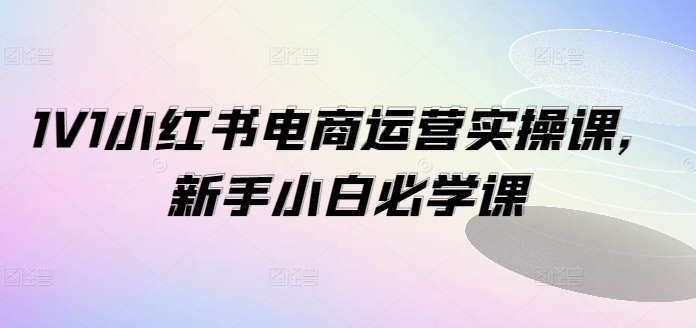 1V1小红书电商运营实操课，新手小白必学课-pcp资源社