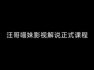 汪哥影视解说正式课程：剪映/PR教学/视解说剪辑5大黄金法则/全流程剪辑7把利器等等-pcp资源社