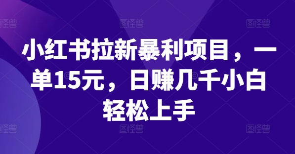 小红书拉新暴利项目，一单15元，日赚几千小白轻松上手【揭秘】-pcp资源社