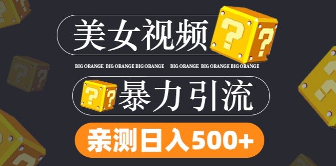 搬运tk美女视频全网分发，日引s粉300+，轻松变现，不限流量不封号【揭秘】-pcp资源社