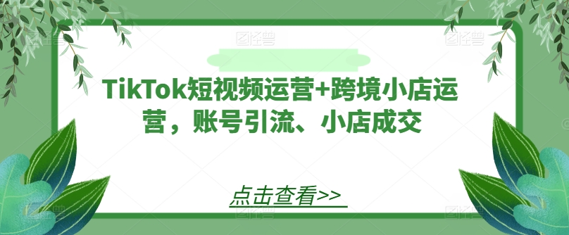 TikTok短视频运营+跨境小店运营，账号引流、小店成交-pcp资源社