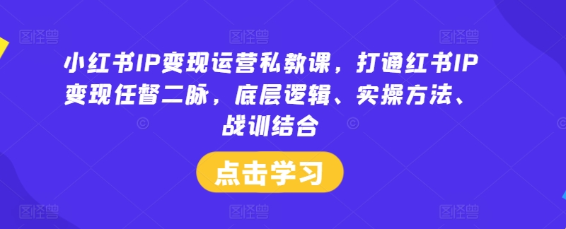 小红书IP变现运营私教课，打通红书IP变现任督二脉，底层逻辑、实操方法、战训结合-pcp资源社