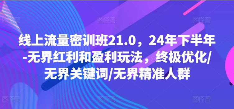 线上流量密训班21.0，24年下半年-无界红利和盈利玩法，终极优化/无界关键词/无界精准人群-pcp资源社