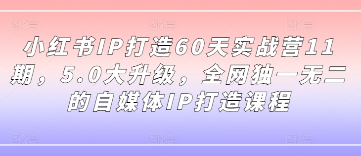 小红书IP打造60天实战营11期，5.0大升级，全网独一无二的自媒体IP打造课程-pcp资源社